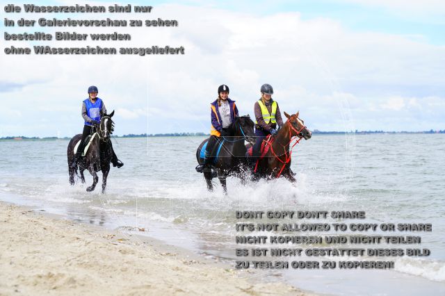 s_K3F05098.JPG